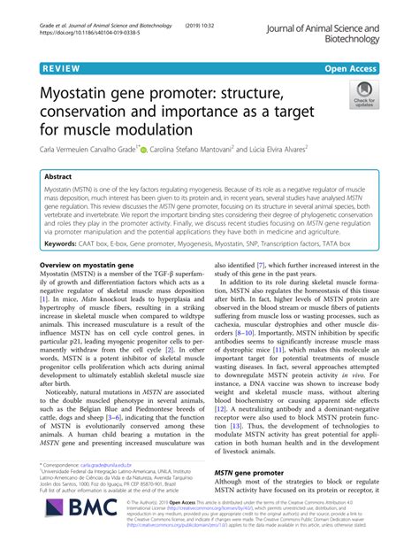 mstn flirt|Myostatin gene promoter: structure, conservation and importance。